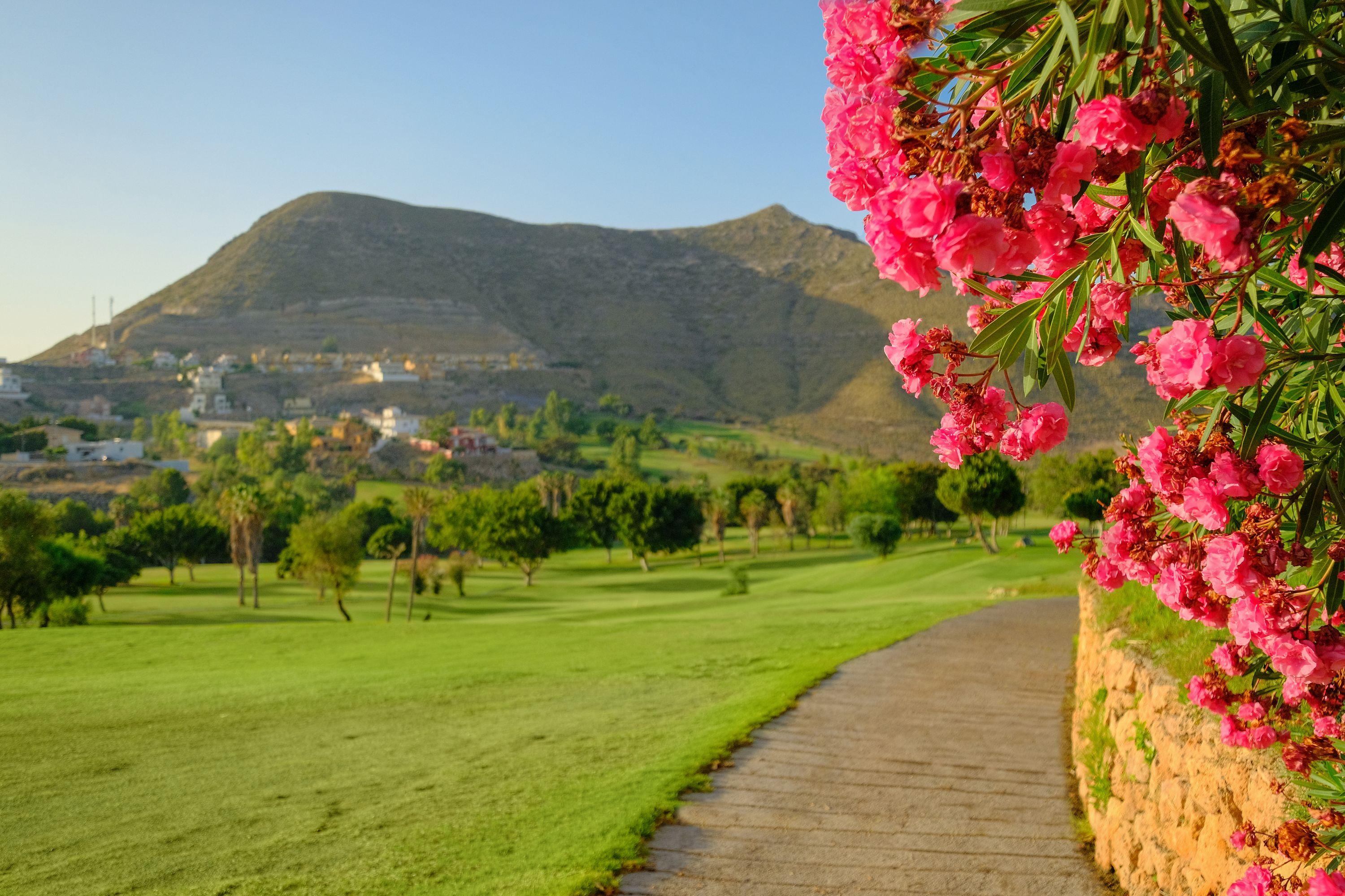 Hotel Envia Almeria Spa & Golf Aguadulce  Εξωτερικό φωτογραφία View of the Sierra de Callosa